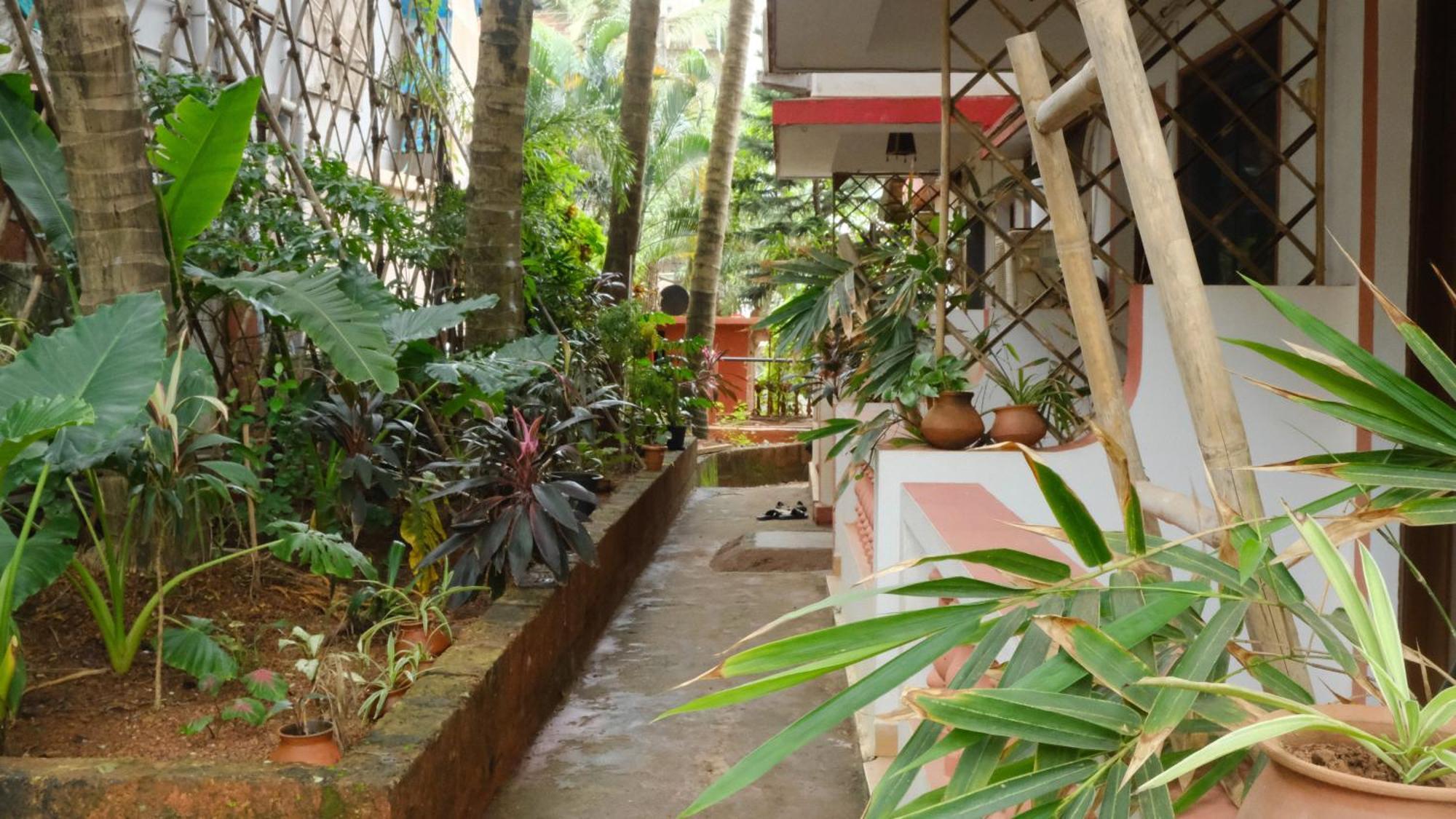 Coco Moon Hotel Morjim Eksteriør billede
